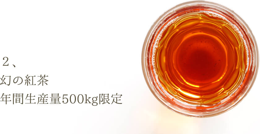 幻の紅茶。年間生産量500kg限定